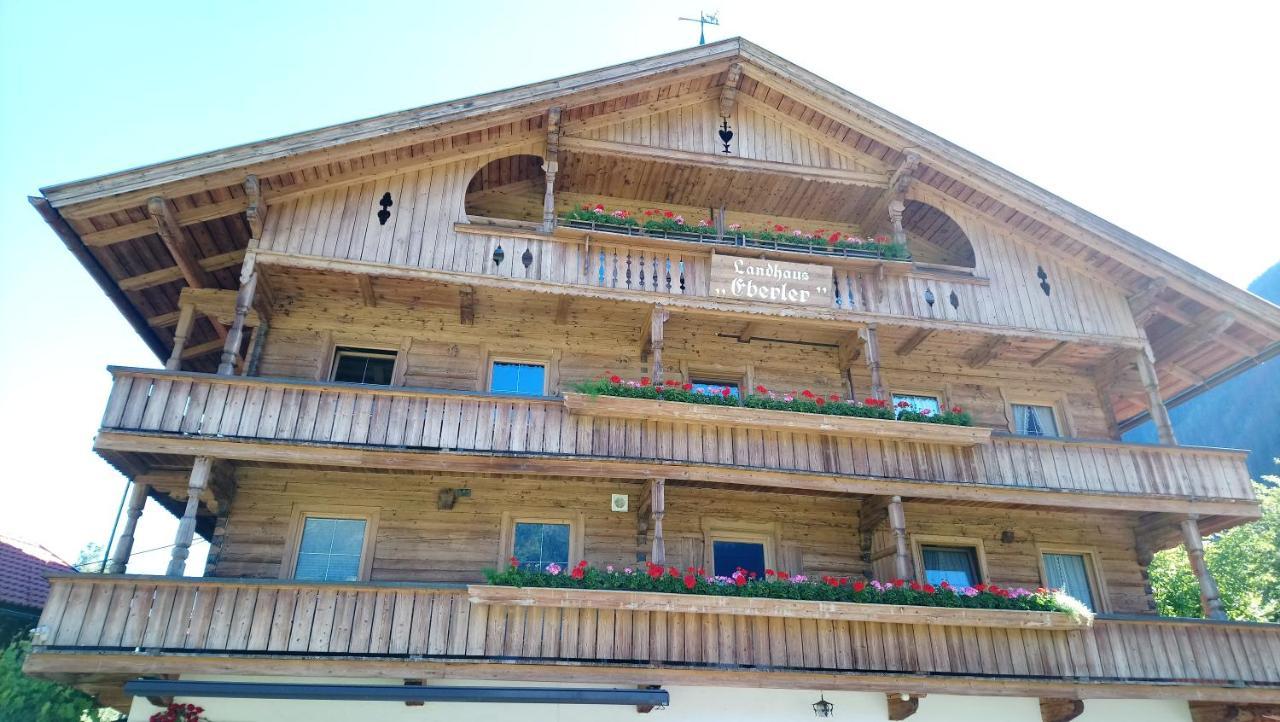 Landhaus Eberler Майерхофен Екстериор снимка